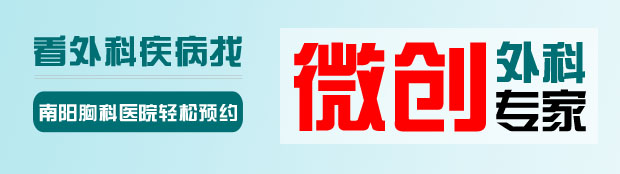 专家