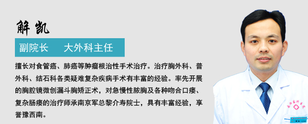 解  凯